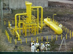 Coatings Coatings